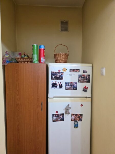 Camil Ressu, Dristor, 5 minute metrou, parc IOR, vedere spate,